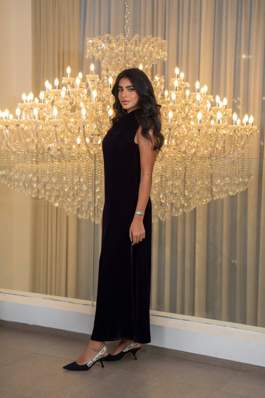 Purple velvet dress. C:221