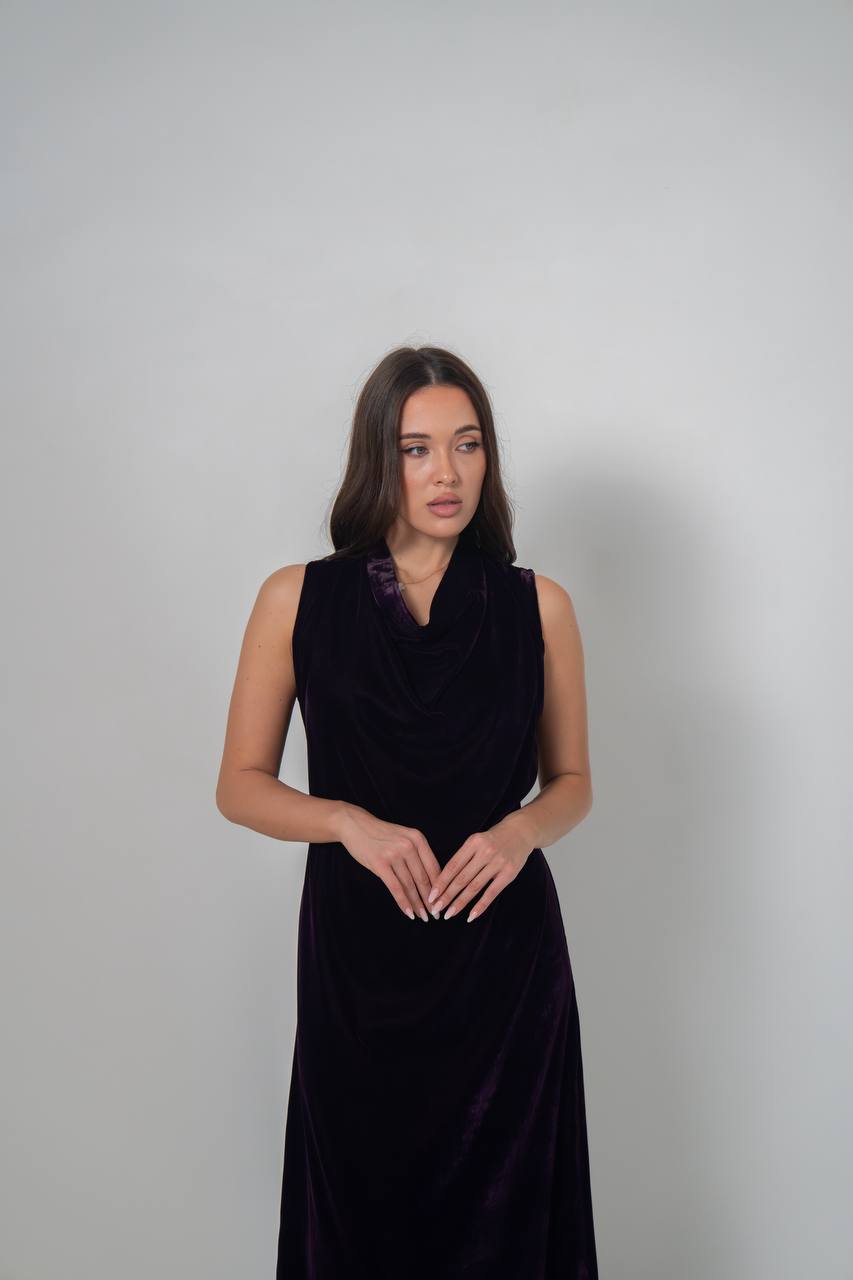 Purple velvet dress. C:222