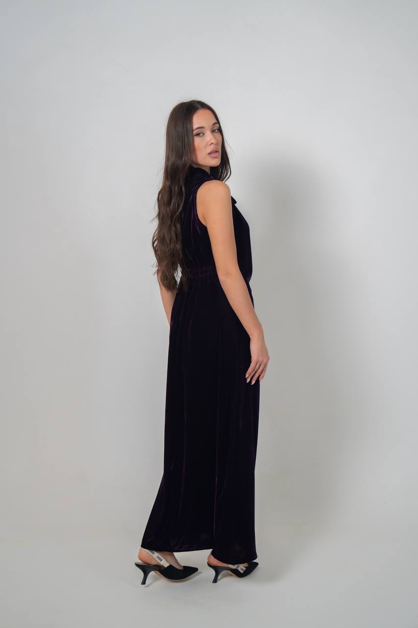 Purple velvet dress. C:222