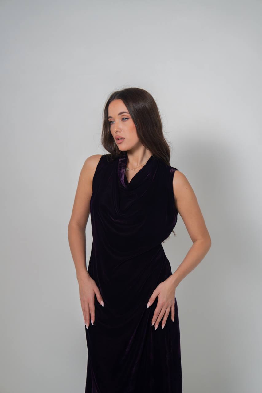 Purple velvet dress. C:222