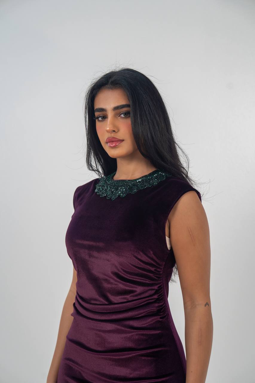 Velvet bisht and dress set in royal purple with hand embellishment.C:6715